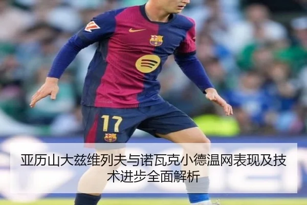 亚历山大兹维列夫与诺瓦克小德温网表现及技术进步全面解析